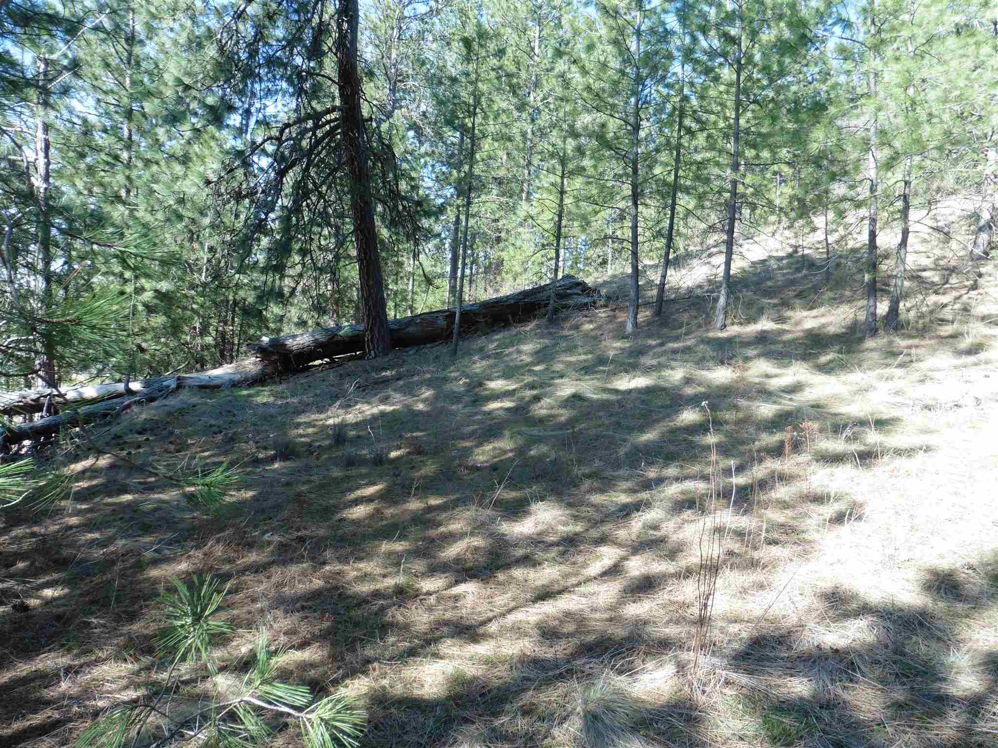2404 East Hangman Valley Road Spokane, WA 99224 - Photo 9 of 22 Gallery Image 9