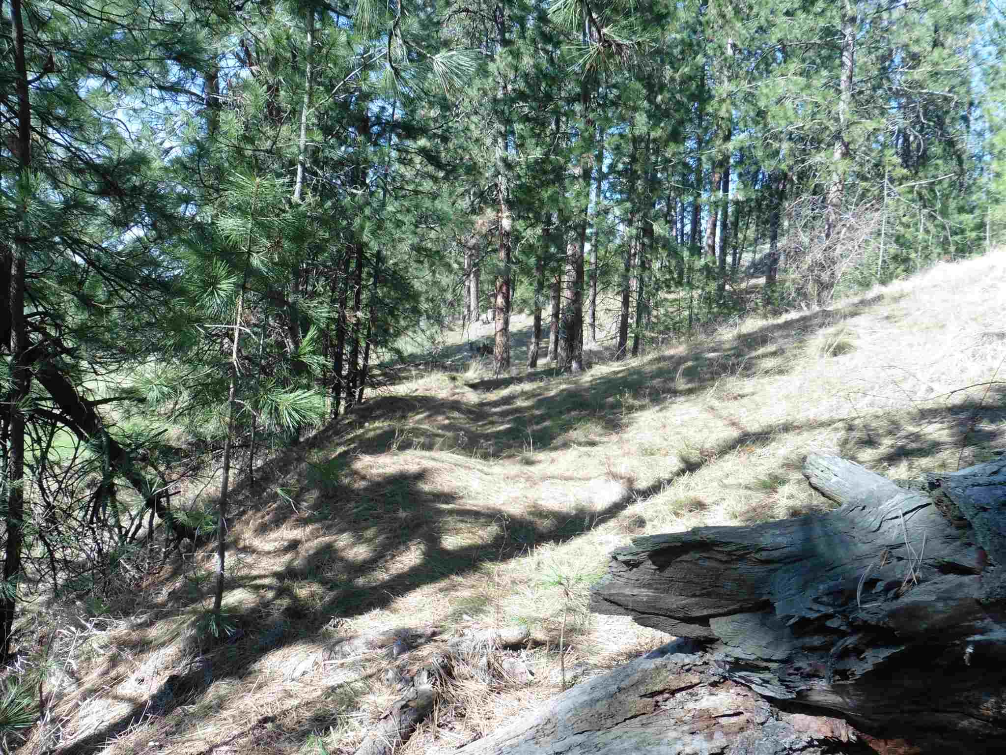 2404 East Hangman Valley Road Spokane, WA 99224 - Photo 10 of 22 Gallery Image 10