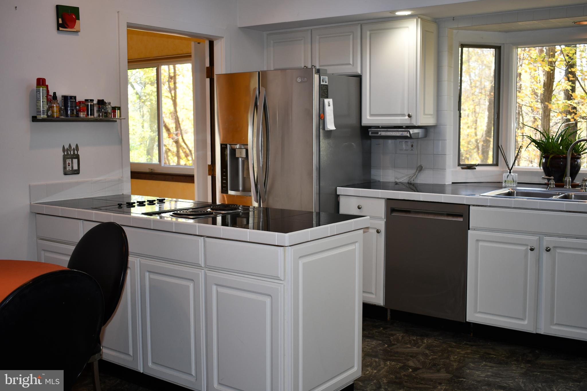 118 Bruce Road Washington Crossing, PA 18977 - Photo 7 of 20 Kitchen