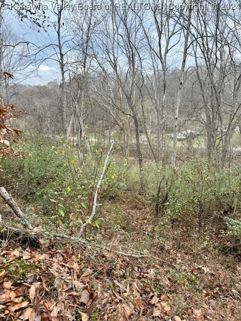 55 Stowers Road Griffithsville, WV 25521 - Photo 11 of 19 Gallery Image 11