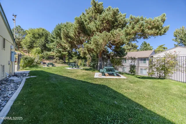 a view of a park with large trees