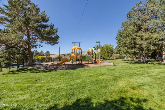 a view of a park with large trees