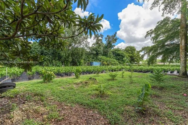 a view of a backyard with plants