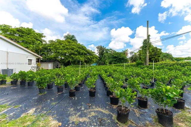 a view of a park with plants and trees