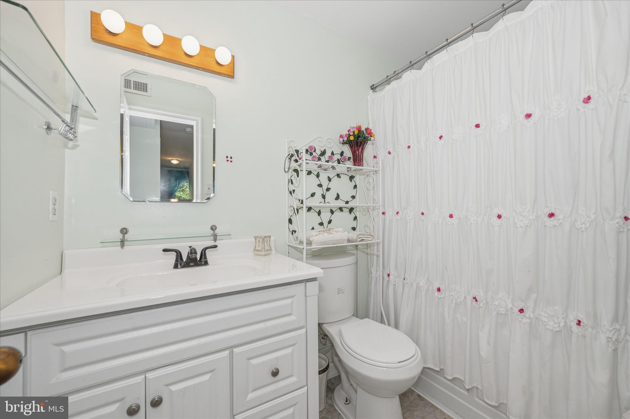 6594 Hemlock Point Road New Market, MD 21774 - Photo 60 of 98 Bathroom