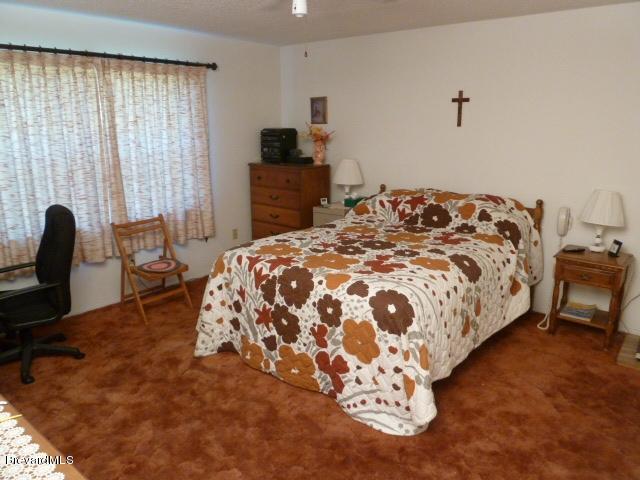 3750 Dunlap Road Mims, FL 32754 - Photo 4 of 12 Master Bedroom