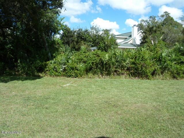 3750 Dunlap Road Mims, FL 32754 - Photo 7 of 12 Backyard View