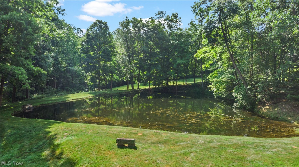 17525 Haskins Road Chagrin Falls, OH 44023 - Photo 42 of 50
