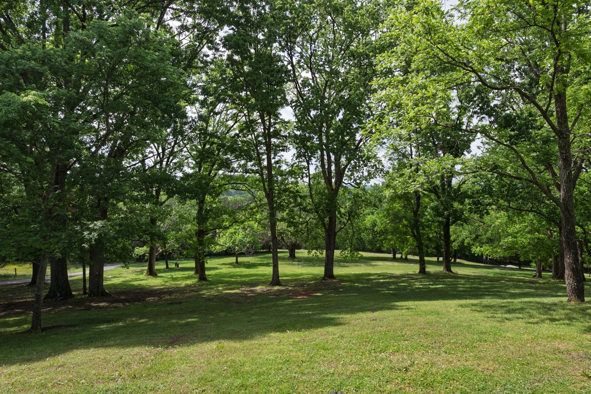 609 Statesville Road Watertown, TN 37184 - Photo 5 of 39