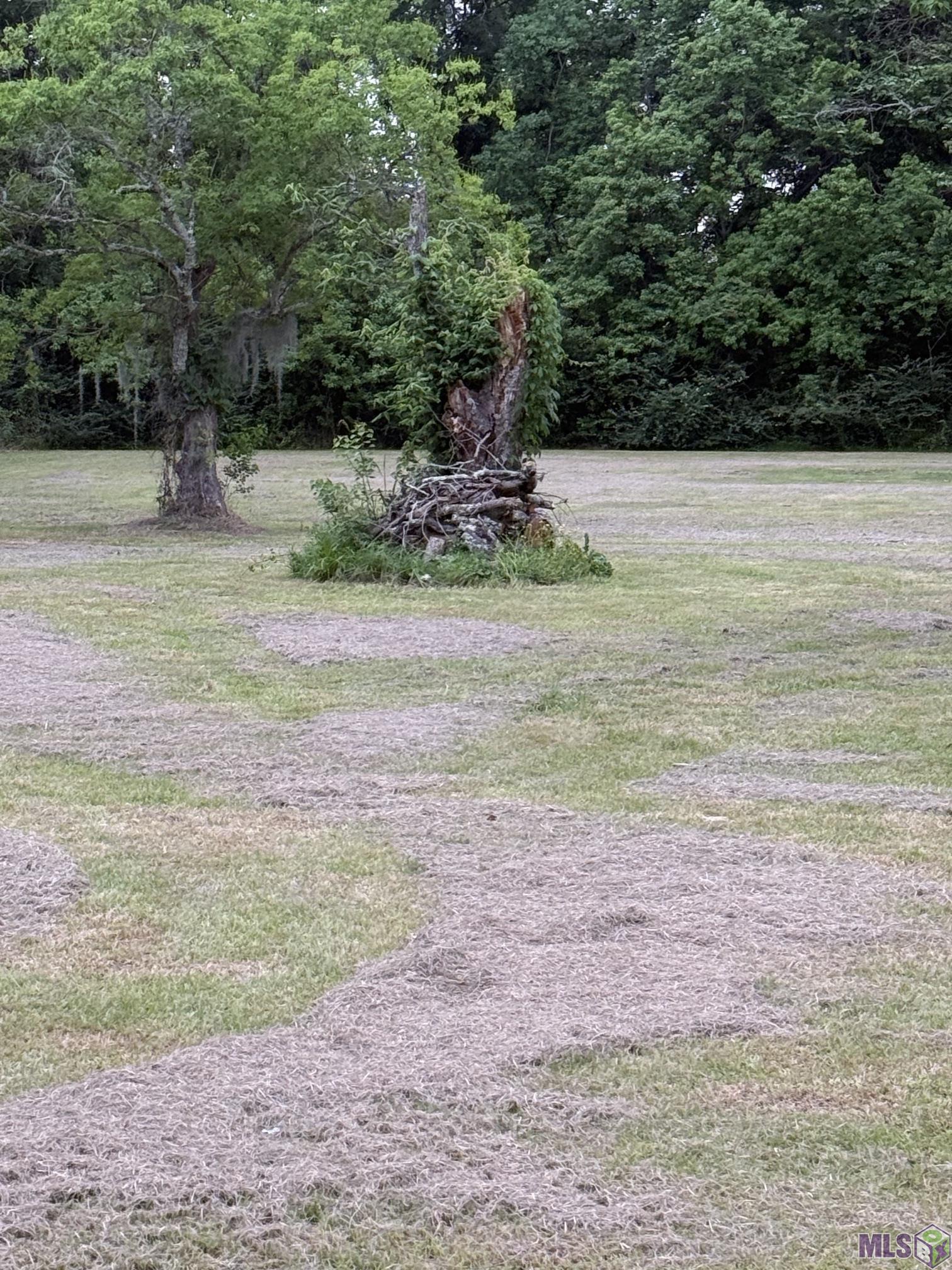 Lot 9 Parker Heights Road Prairieville, LA 70769 - Photo 2 of 5
