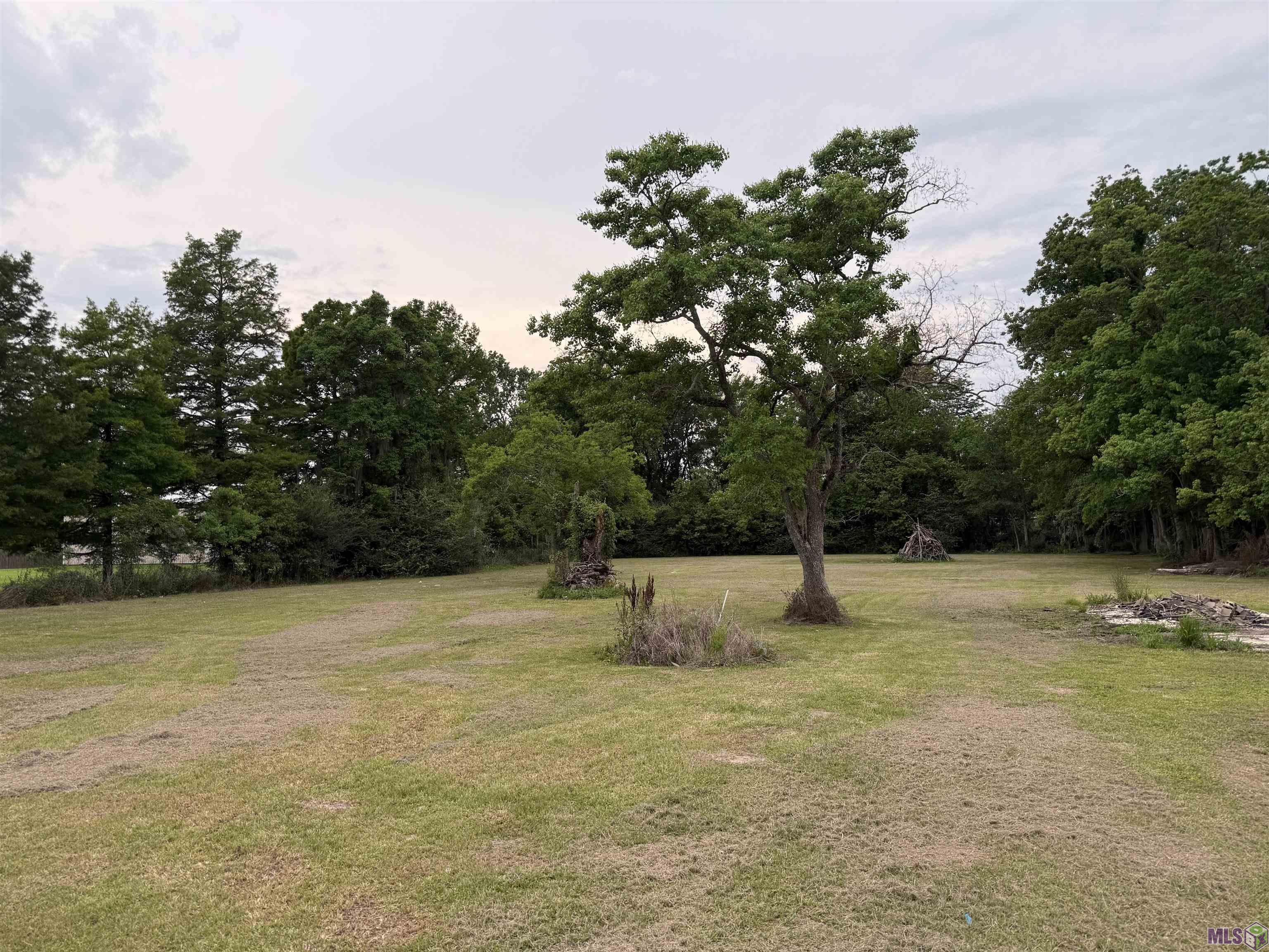 Lot 9 Parker Heights Road Prairieville, LA 70769 - Photo 5 of 5