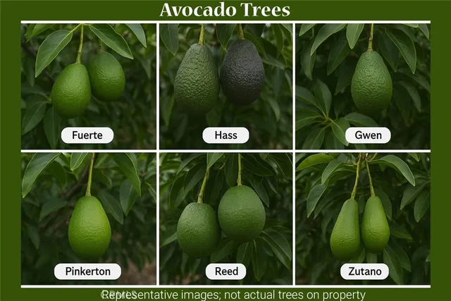 $1,377,000 | 4795 Bain Street, Jurupa Valley, CA 91752