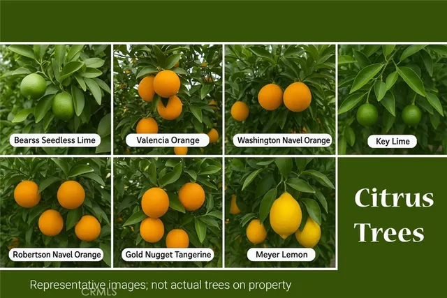 $1,377,000 | 4795 Bain Street, Jurupa Valley, CA 91752