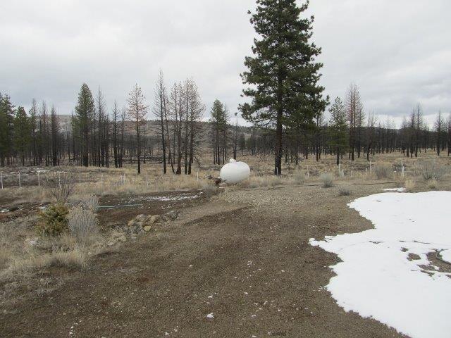 24142 Ruffled Grouse Lane Chiloquin, OR 97624 - Photo 9 of 24 Additional Photo