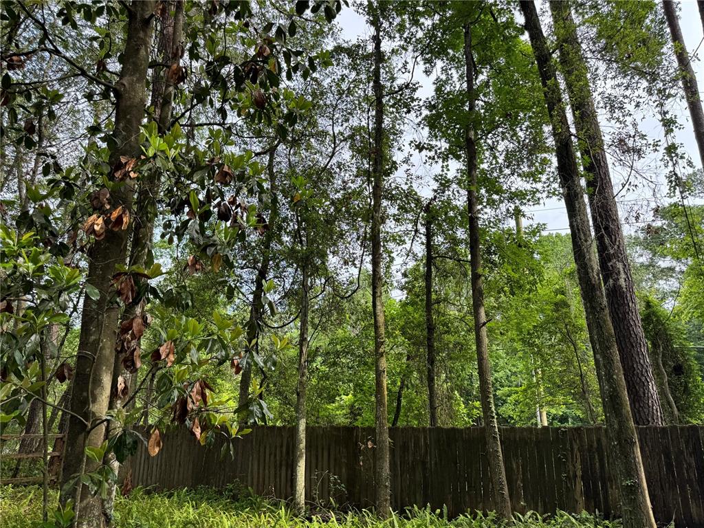 713 Northwest 95th Terrace Gainesville, FL 32607 - Photo 6 of 6