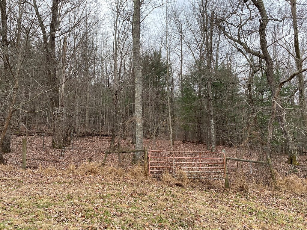 Tbd Widener Valley Road, Unit SEE REMARKS Glade Spring, VA 24340 - Photo 24 of 57 Gallery Image 24