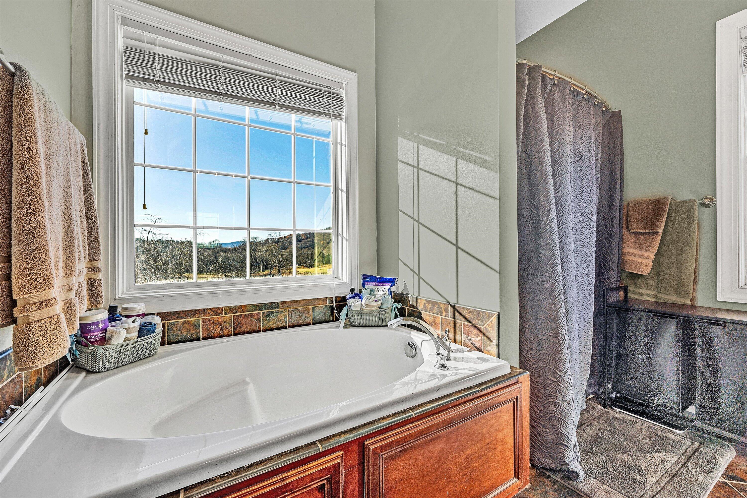 207 Overlook Road Vinton, VA 24179 - Photo 19 of 65 a bathroom with a bathtub and next to a window