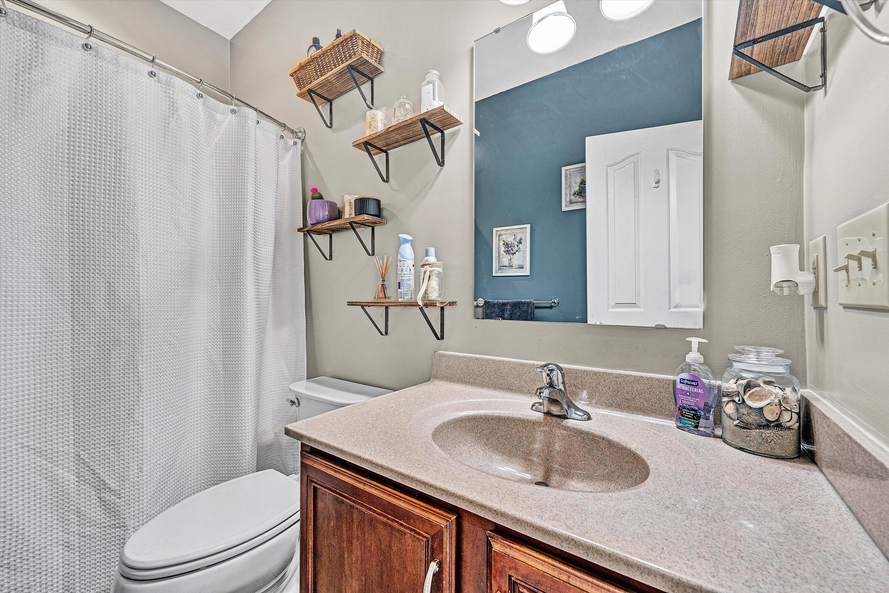 207 Overlook Road Vinton, VA 24179 - Photo 23 of 65 a bathroom with a sink a toilet and shower curtain