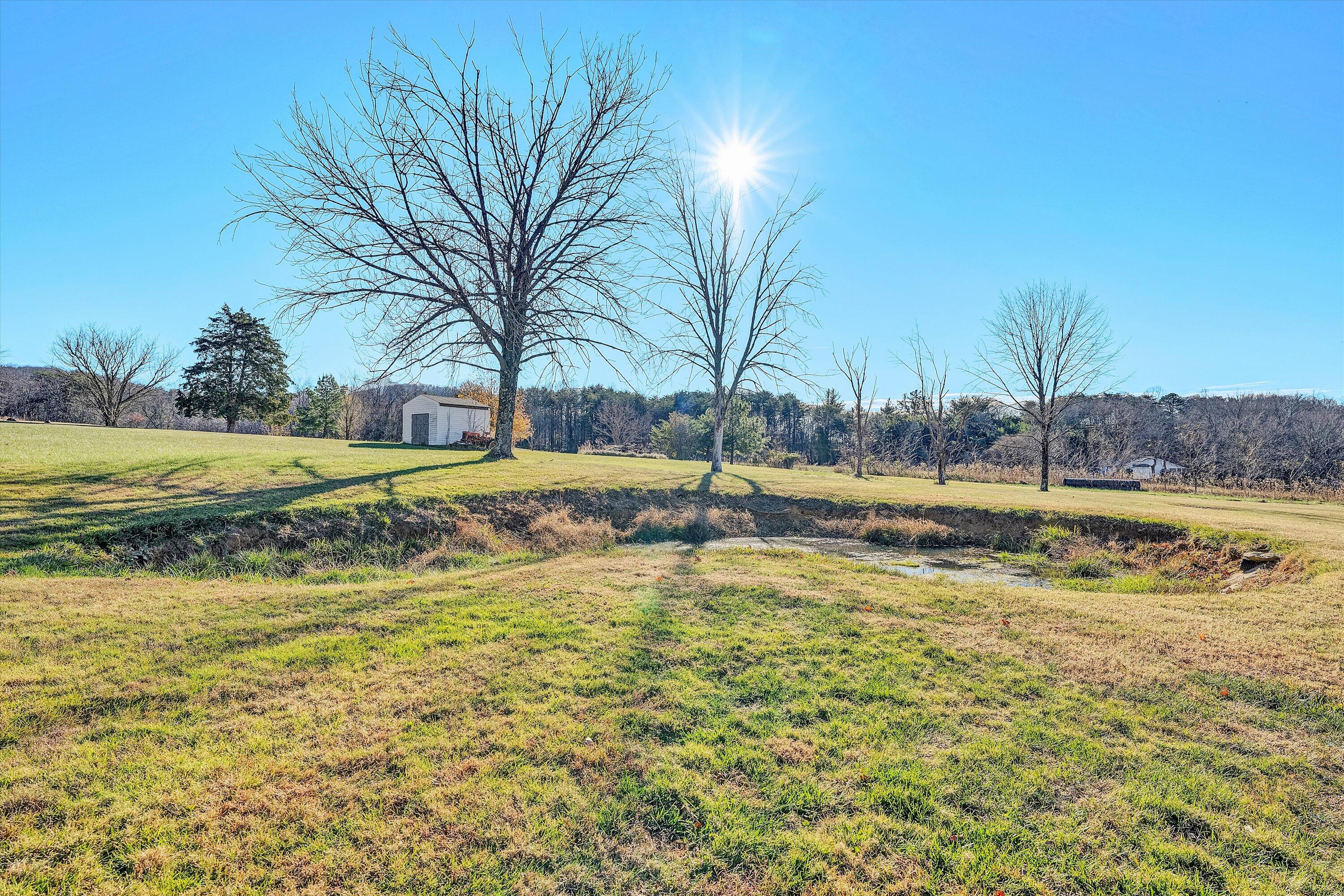 207 Overlook Road Vinton, VA 24179 - Photo 62 of 65 a view of a yard with an trees