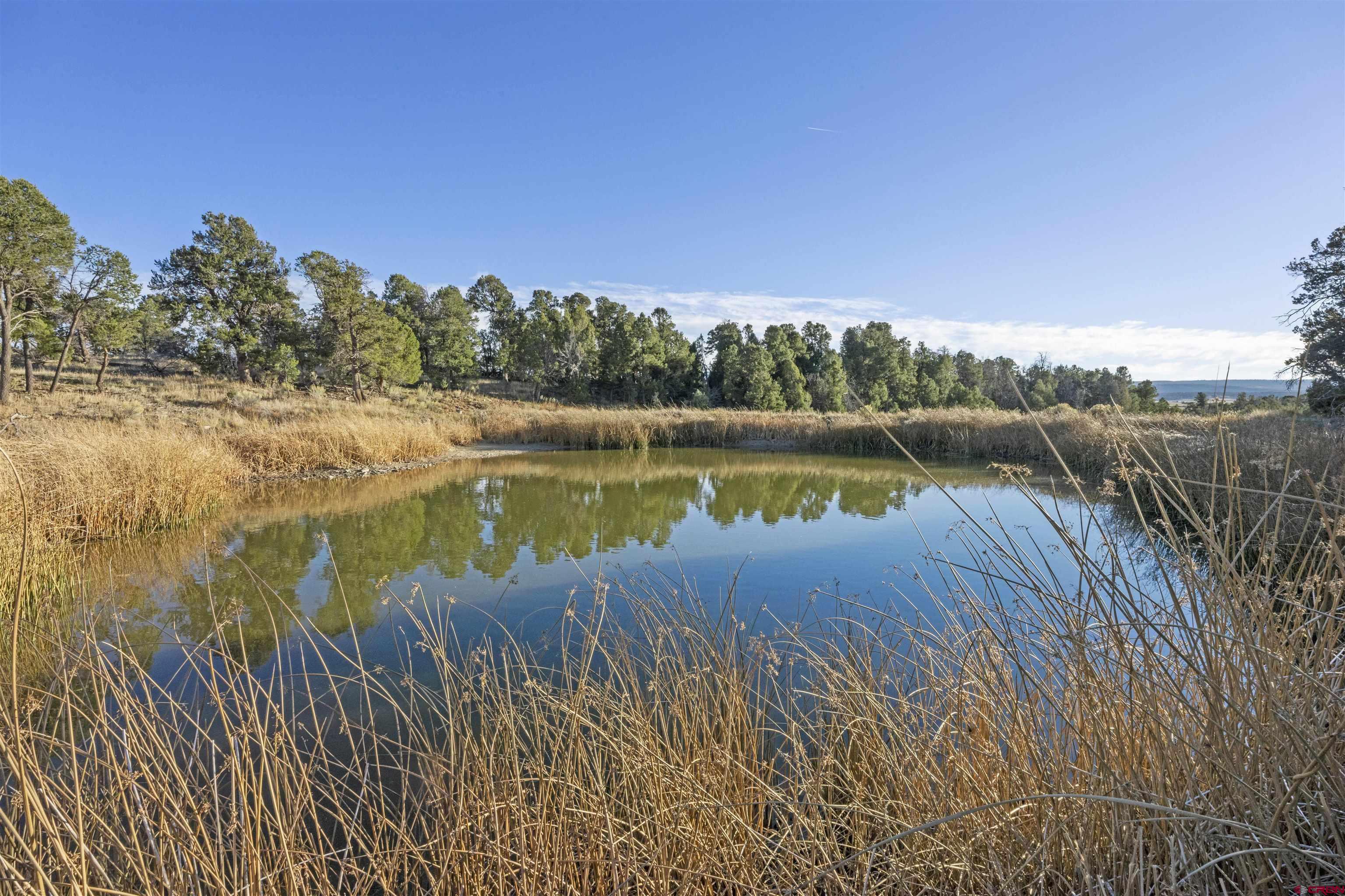 1302 42zn Road Norwood, CO 81423 - Photo 27 of 32 a view of a lake with houses in the back