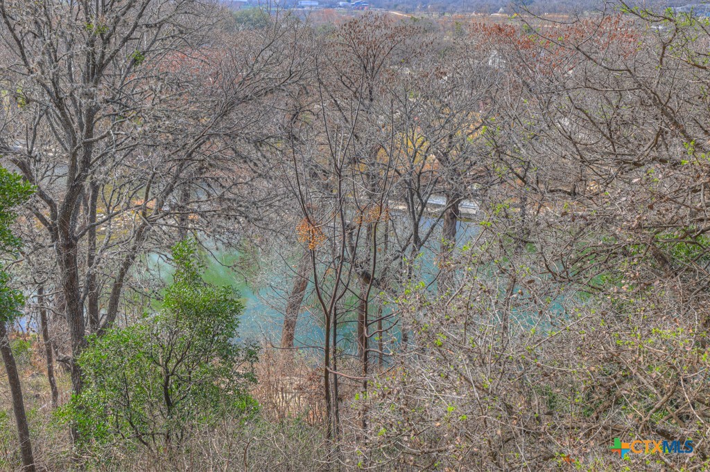 1247 Gruene Road, Unit 203 New Braunfels, TX 78130 - Photo 23 of 44