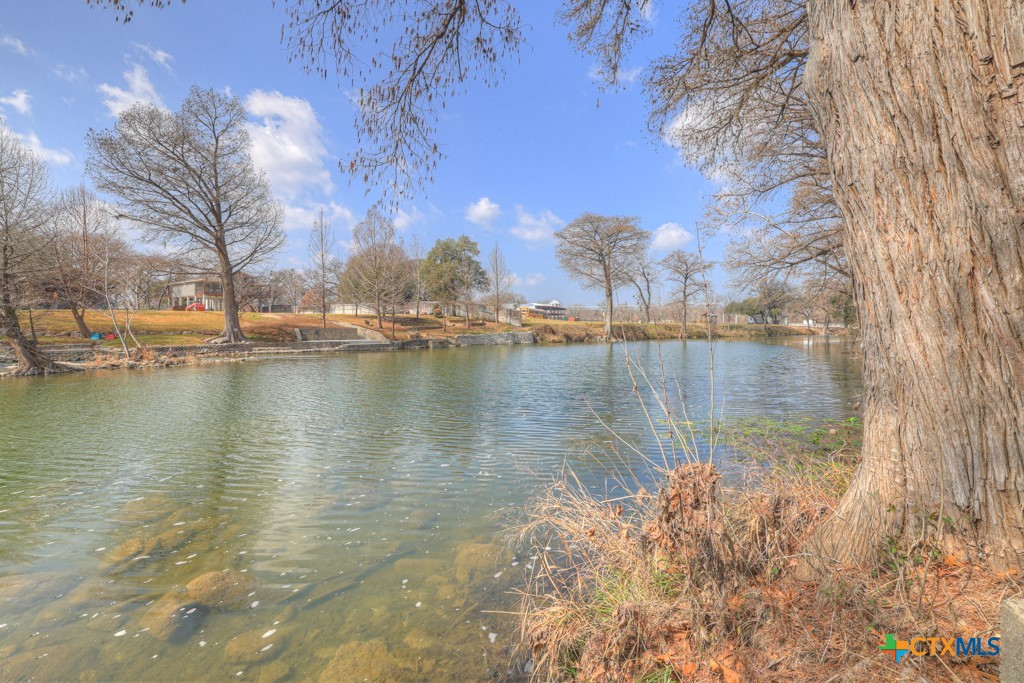 1247 Gruene Road, Unit 203 New Braunfels, TX 78130 - Photo 43 of 44