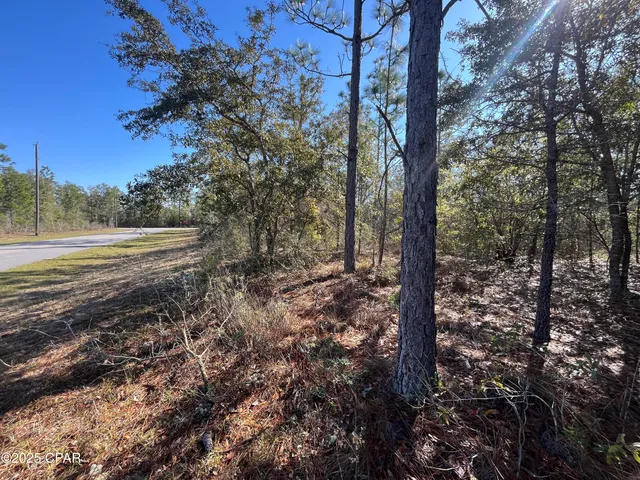 $26,995 | Lot 17 Shelby Court, Chipley, FL 32428