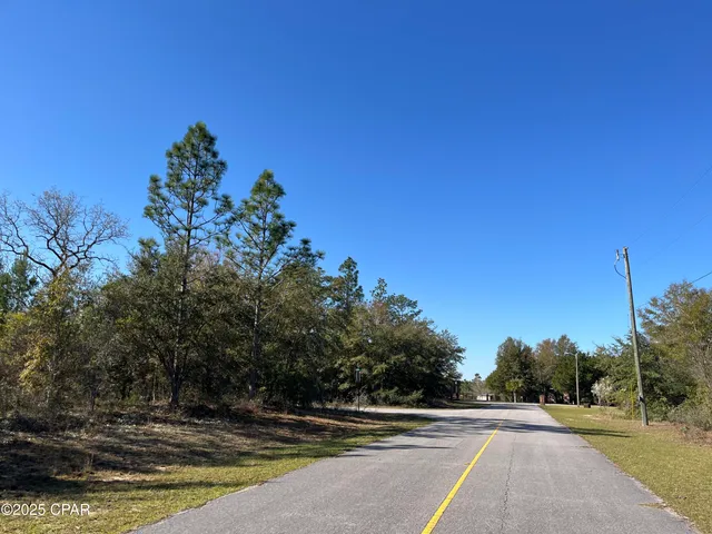 $26,995 | Lot 17 Shelby Court, Chipley, FL 32428