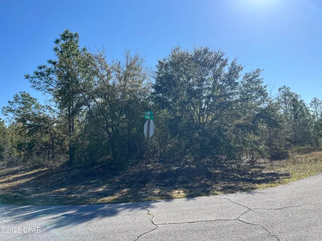 $26,995 | Lot 17 Shelby Court, Chipley, FL 32428