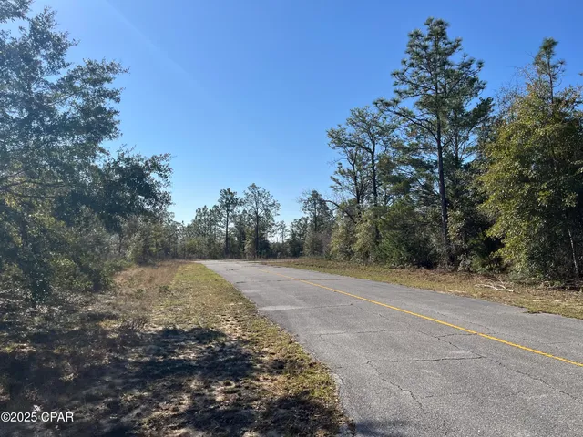 $26,995 | Lot 17 Shelby Court, Chipley, FL 32428