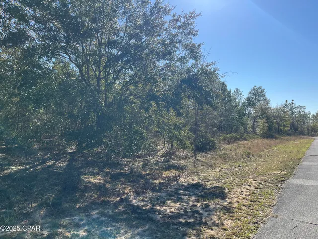 $26,995 | Lot 17 Shelby Court, Chipley, FL 32428