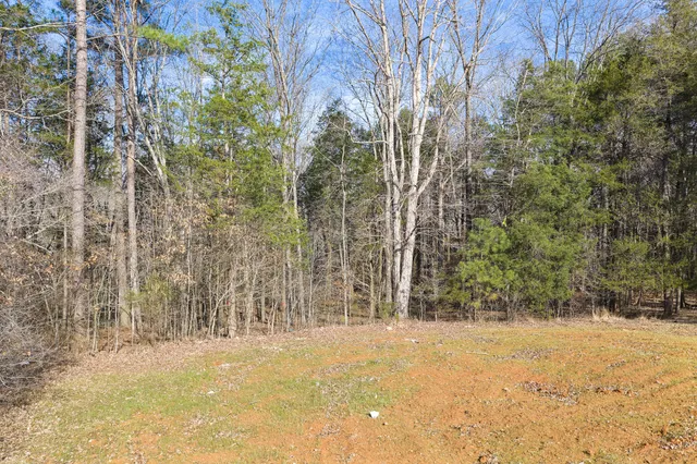 a view of a yard with trees