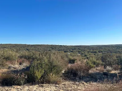 a view of city and mountain