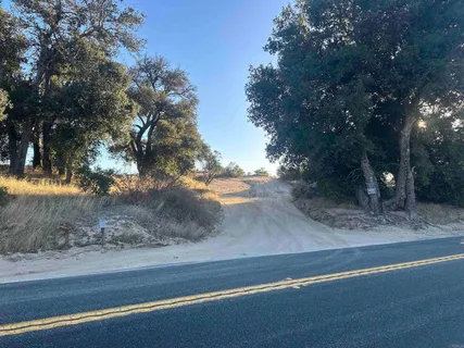 a view of a yard with large trees