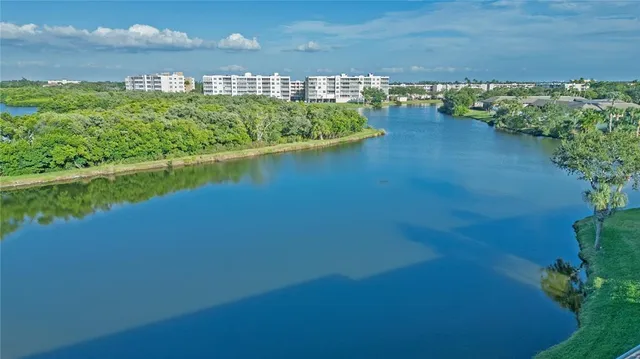 a view of a lake in a yard