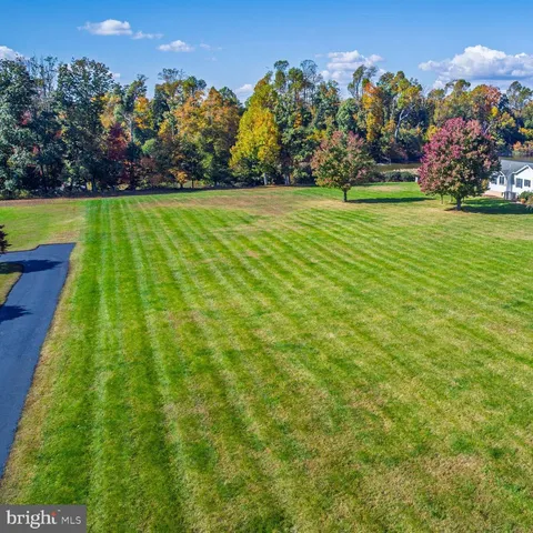 a view of a big yard with plants and large trees