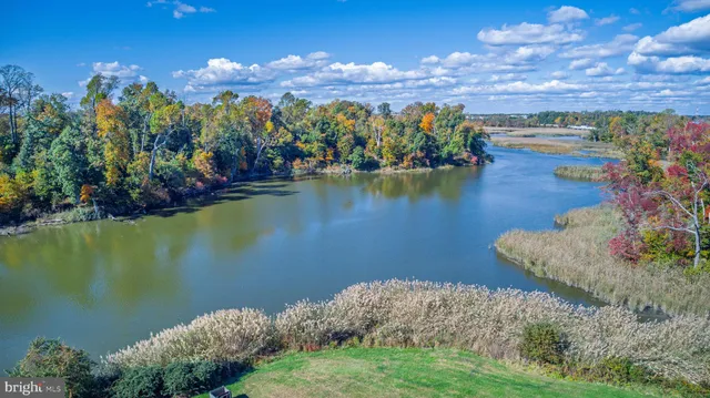 a view of a lake with a mountain in the background