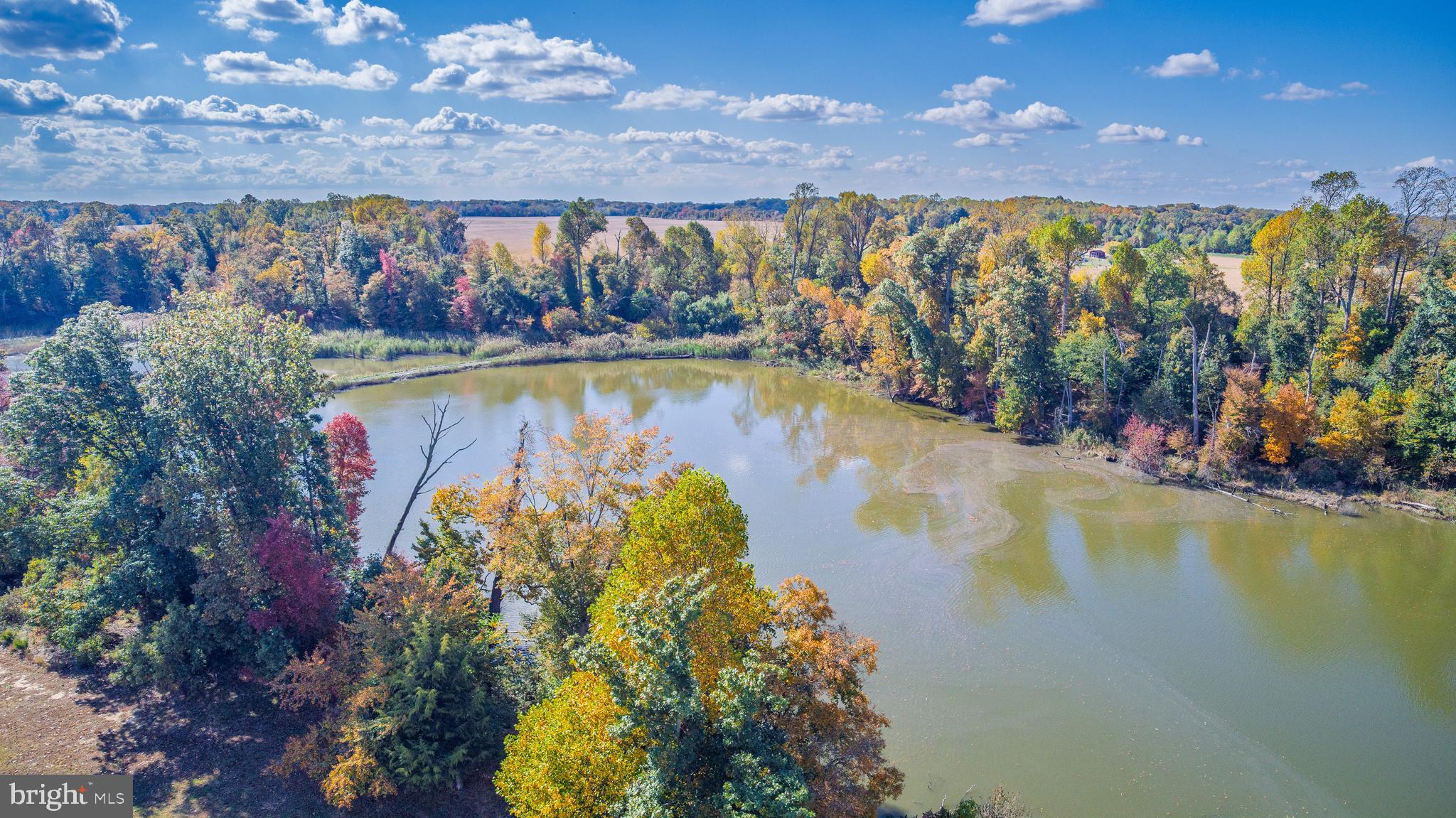 Tbd Harris Road Townsend, DE 19734 - Photo 16 of 21 a view of a lake with a mountain
