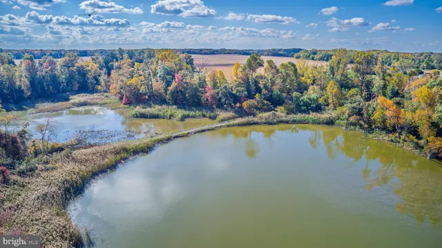 a view of a swimming pool and outdoor space