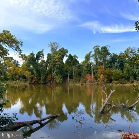 a view of a lake with a yard