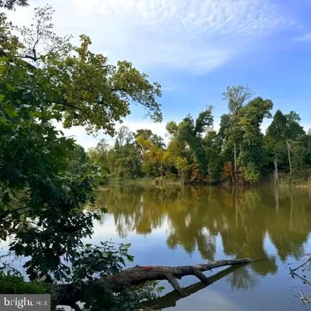 a view of a lake in middle of forest