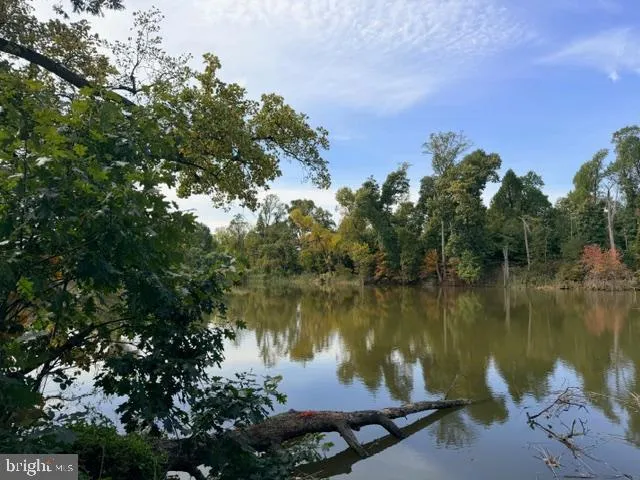 a view of a lake in between two large trees