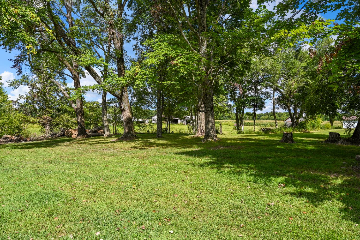 8981 Highway 101 Sunman, IN 47041 - Photo 35 of 40