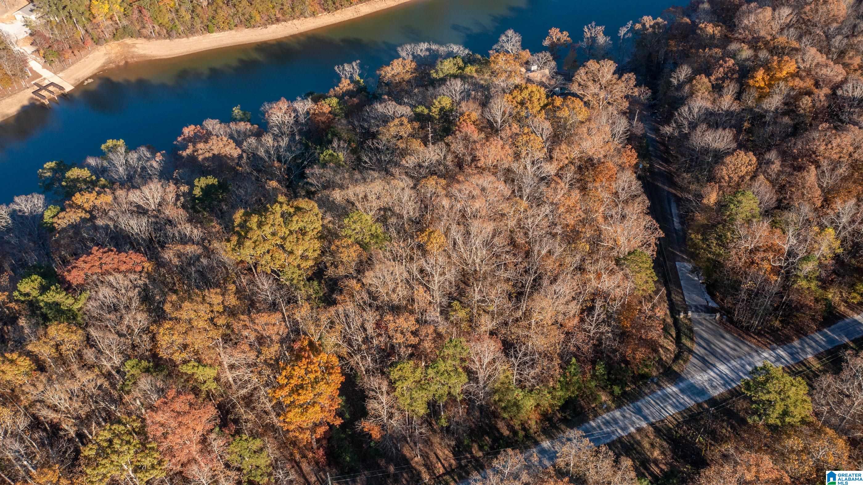 Lot 2 Emily Avenue, Unit 2 Lineville, AL 36266 - Photo 7 of 12