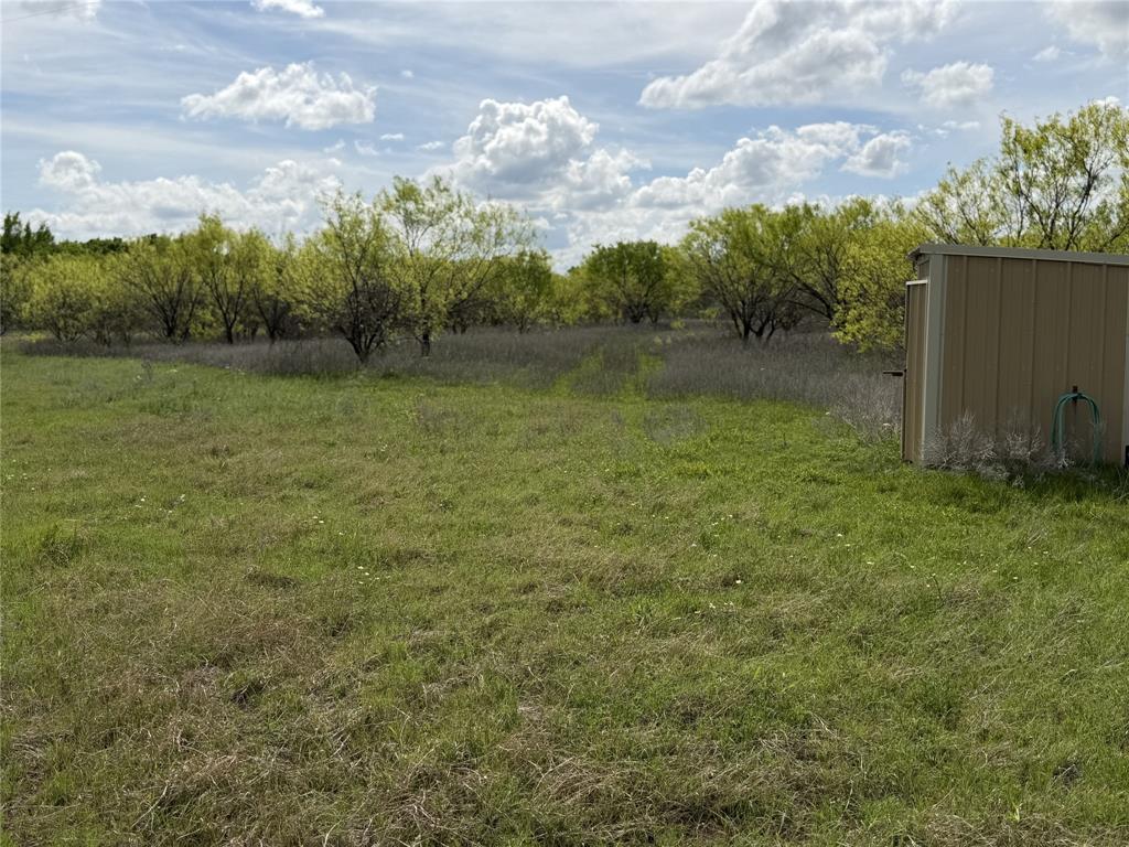 250 County Road 427 Rising Star, TX 76471 - Photo 11 of 24 a view of a garden