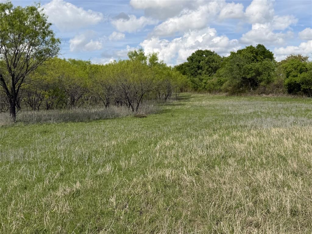 250 County Road 427 Rising Star, TX 76471 - Photo 13 of 24 a view of a field of grass and trees