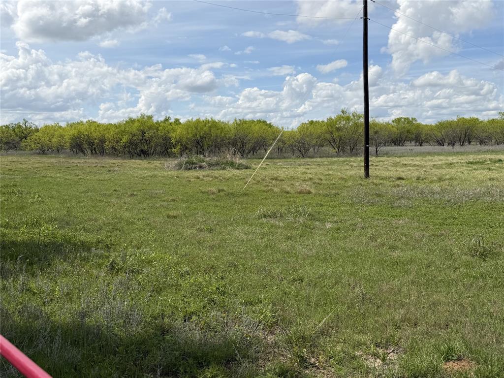 250 County Road 427 Rising Star, TX 76471 - Photo 16 of 24 a view of a field with a tree in the background