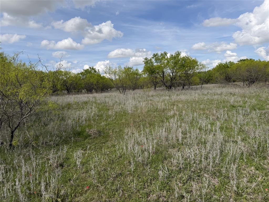 250 County Road 427 Rising Star, TX 76471 - Photo 17 of 24 a view of a yard with an outdoor seating