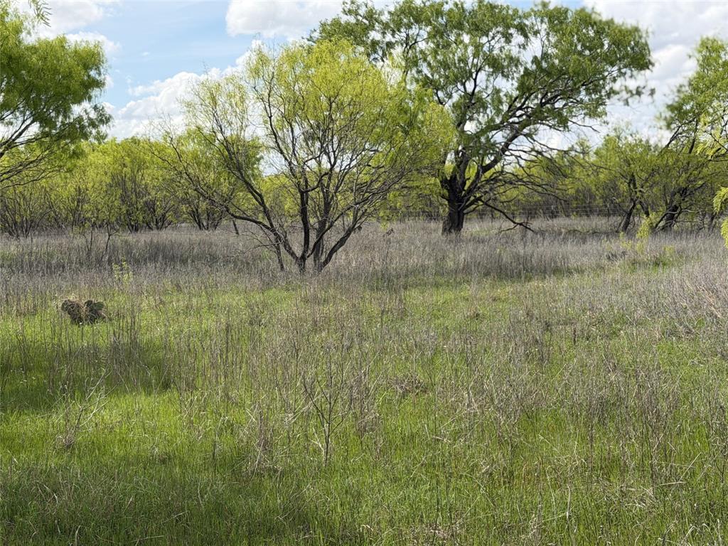 250 County Road 427 Rising Star, TX 76471 - Photo 19 of 24 a view of a lake with a yard