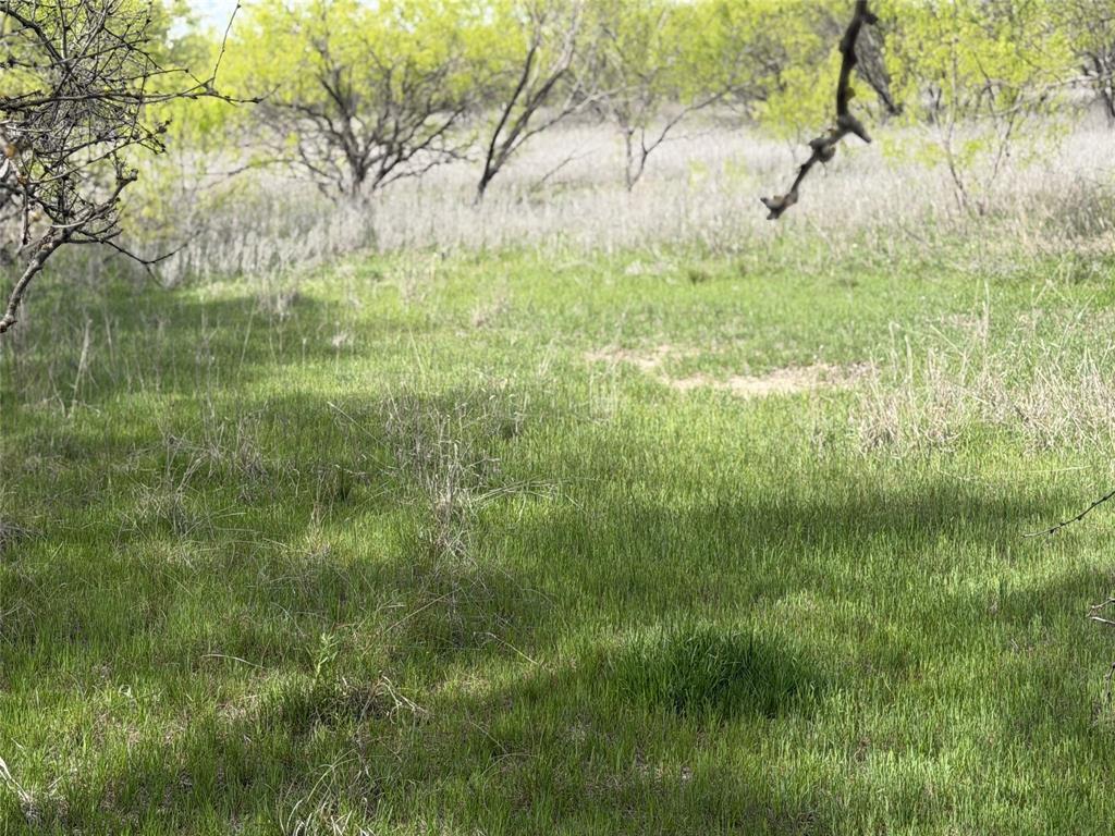 250 County Road 427 Rising Star, TX 76471 - Photo 20 of 24 a view of yard with green space